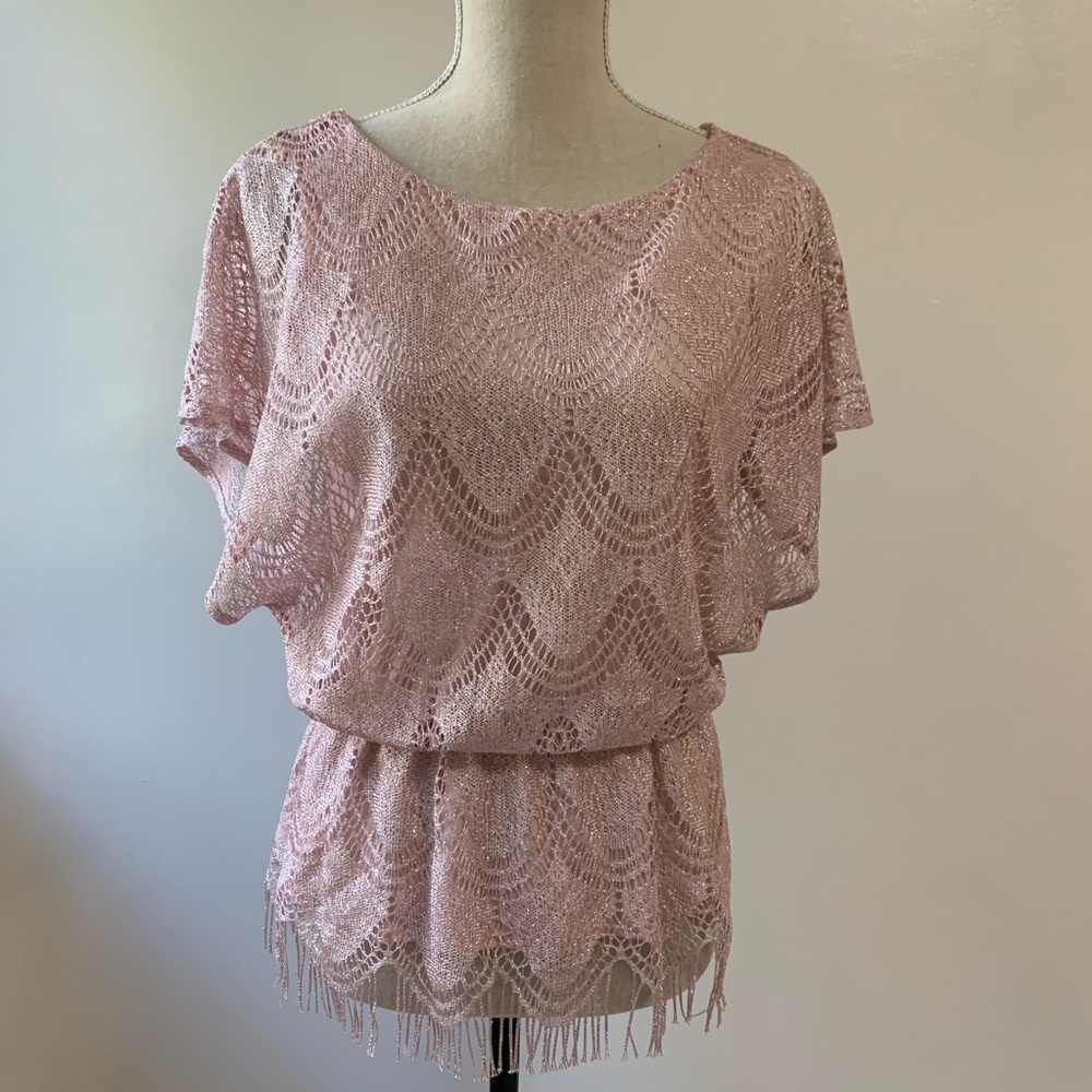 Dressbarn Collection. Sparkle sheer lace blouse